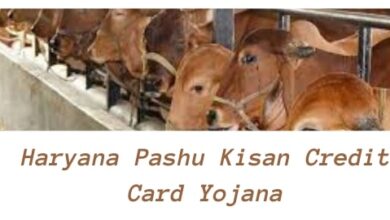 Haryana Pashu Kisan Credit Card Yojana