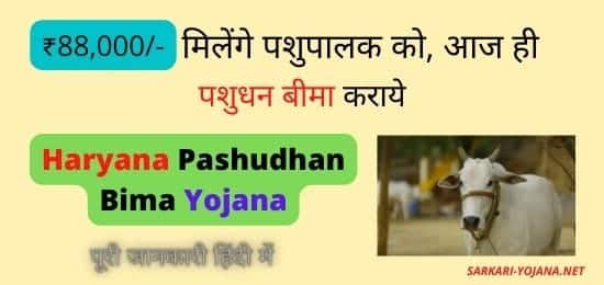 Haryana Pashudhan Bima Yojana