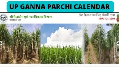 up ganna Parchi Calendar