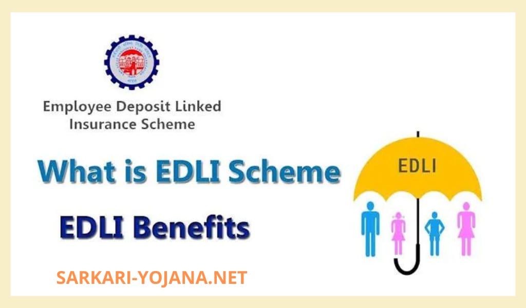 edli scheme