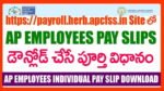 ap employee pay slip